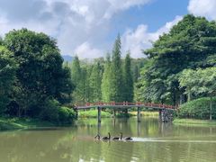 -佛冈森波拉度假区