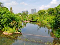 -云溪植物园