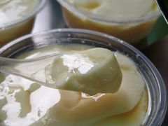 -鼎香皇高佬苏裹蒸粽