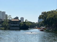 -荔湾湖公园