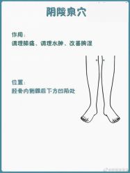 -安吉拉青春化管理中心