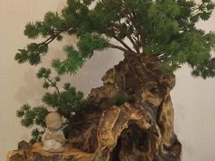 -金色印象·4K影院式足体养生(香榭里店)
