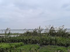 -莲花岛景区