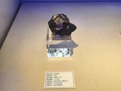 -吉林市博物馆