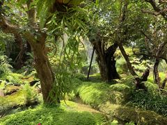 -Chom Cafe and Restaurant