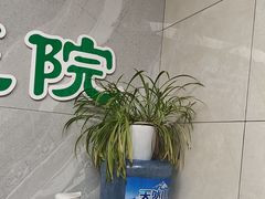-半岛宠物医院24小时(白果林店)