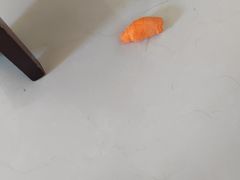 -瑞派名望志远动物医院·猫科·內科·异宠专科(直港大道店)