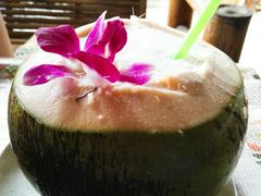-Jungle Kitchen