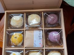 -猫里有甜