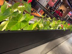 -管氏翅吧(台湾街店)