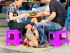 -雲记卢妈冷锅串串(中道街总店)