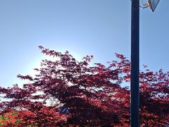 -《神游传奇》秀