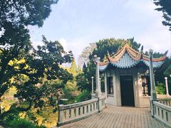 -叶家花园