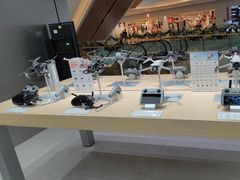 -DJI大疆(广州天汇广场授权体验店)
