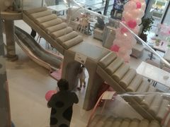 -KIDults童伴儿亲子餐厅(达美中心广场店)