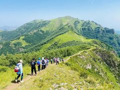 -灵山