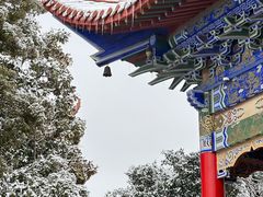 -开福禅寺
