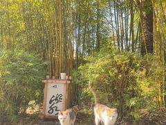 -崇阳三特浪口温泉