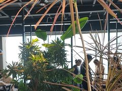 -一乐韩国炸鸡(梅江店)