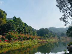 -深圳仙湖植物园-停车场