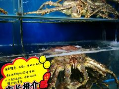 -蚝专家(北滘店)
