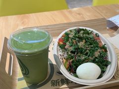 -油梨树AVOCADO TREE(顺义新国展店)