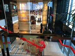 -上海龙之梦万丽酒店