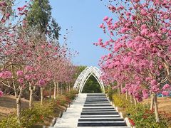 -盈香心动乐园