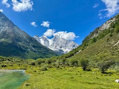 -稻城亚丁景区-冲古草甸