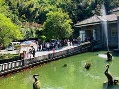 -滴水洞景区