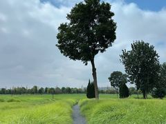 -汉长安城未央宫国家考古遗址公园