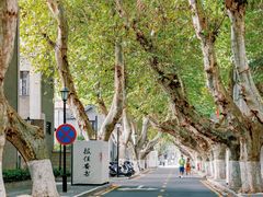 -长江路历史文化街区