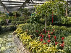 -南宫五洲植物乐园