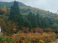 -北京十三陵国家森林公园蟒山景区