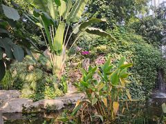 -郑州植物园