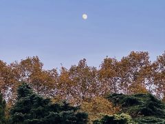 -雨花台烈士纪念馆