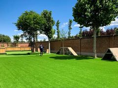 -北京京卫宠物寄养训练中心