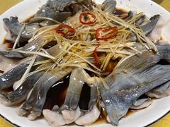-煲来饱去冷水鱼