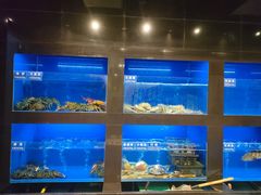 水产区-金时代顺风大酒店(临港百联店)