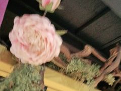 -季季红火锅(动壹店)