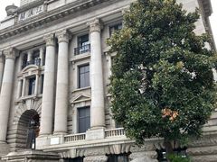 -武汉关码头(轮渡站)