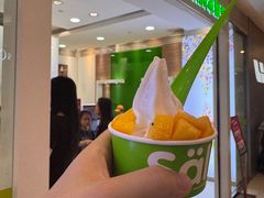 -Salud撒露欧洲冻酸奶(蓝色港湾店)