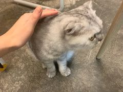 -拾壹cafe·工作室