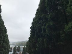 -井冈山革命烈士陵园
