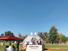 -云南民族村