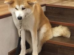 -YCHL Studios健身工作室(市二宫店)