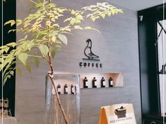 -野鸽子咖啡(航空路店)