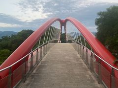 -金鸡山公园