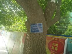 -河南中医药大学第一附属医院·皮肤美容