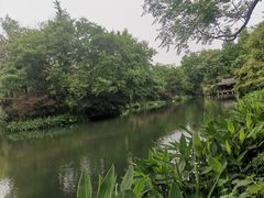 -习家池